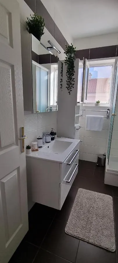 Apartman Odin Cizici 0*,